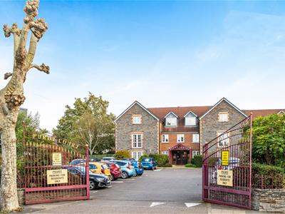 Picture 3